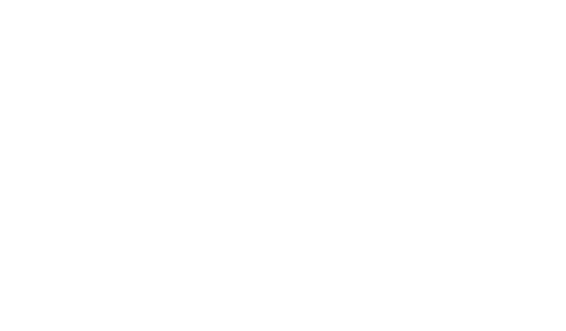 Active Brains