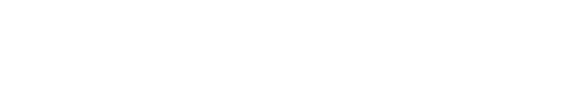 Pioneers Information Technology